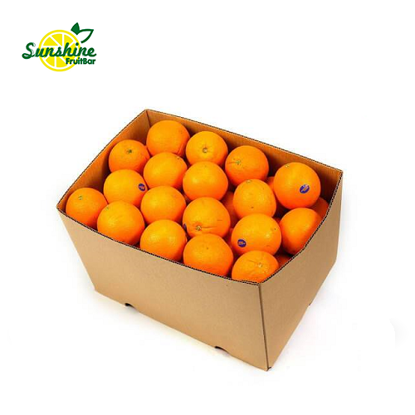 Show details for WS AUS ORANGE 88